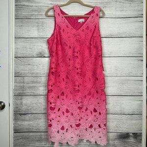 NWT Signature by Robie Bee Pink Ombre Dress Sz 12